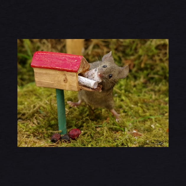 George the mouse in a log pile house - collecting the fan mail by Simon-dell